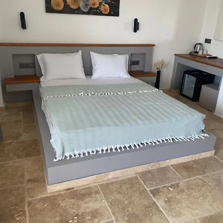 Molino 住宿加早餐酒店 阿拉恰特