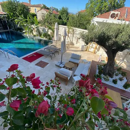 住宿加早餐酒店 Molino