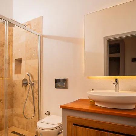 Molino * 阿拉恰特