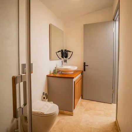 Molino * 阿拉恰特