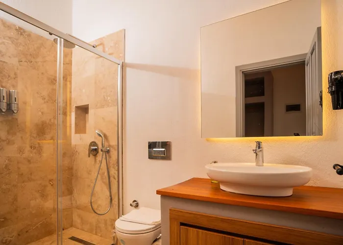 Molino * 알라카티