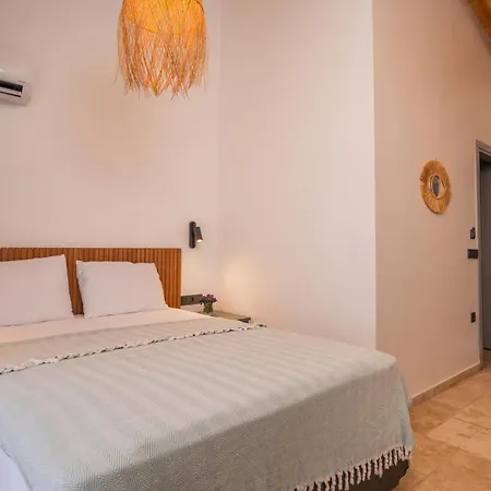 Molino 住宿加早餐酒店 *